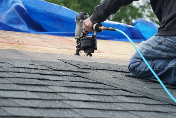 Best Roof Maintenance Services  in Grandy, NC