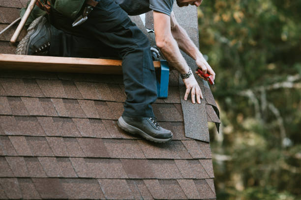 Best Storm Damage Roof Repair  in Grandy, NC