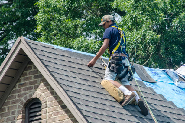 Best Commercial Roofing Services  in Grandy, NC
